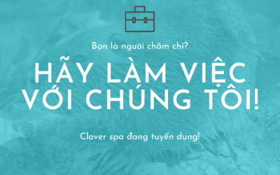 viec-lam-massage