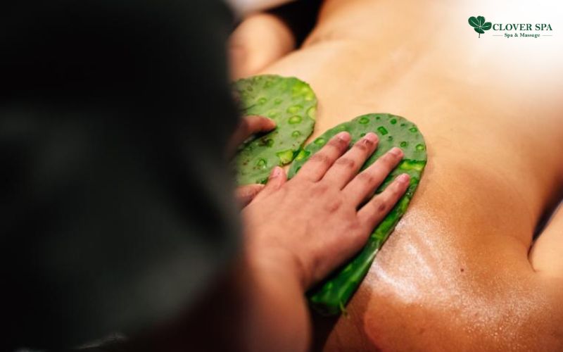 Massage Xương Rồng: Sự kết hợp hoàn hảo cho làn da mịn màng tại Clover Spa