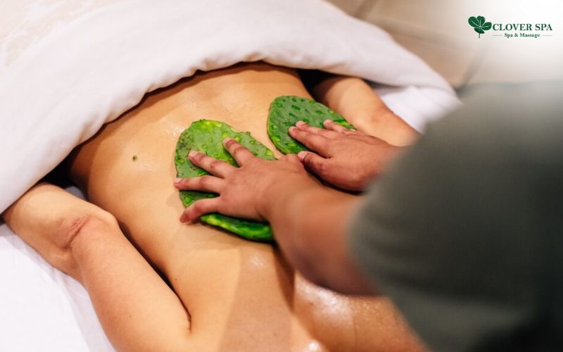 Trải nghiệm Massage Xương Rồng tuyệt vời tại Clover Spa